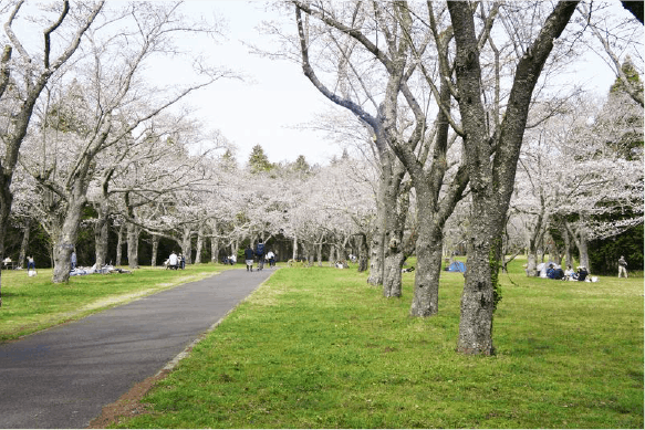 あすみが丘しいのき公園