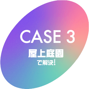 CESE3